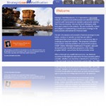 Financial Services Website Design, Business Development, Marketing Service Consulting Company